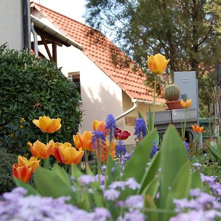 Maya Guesthouse Eger Ngoại thất bức ảnh