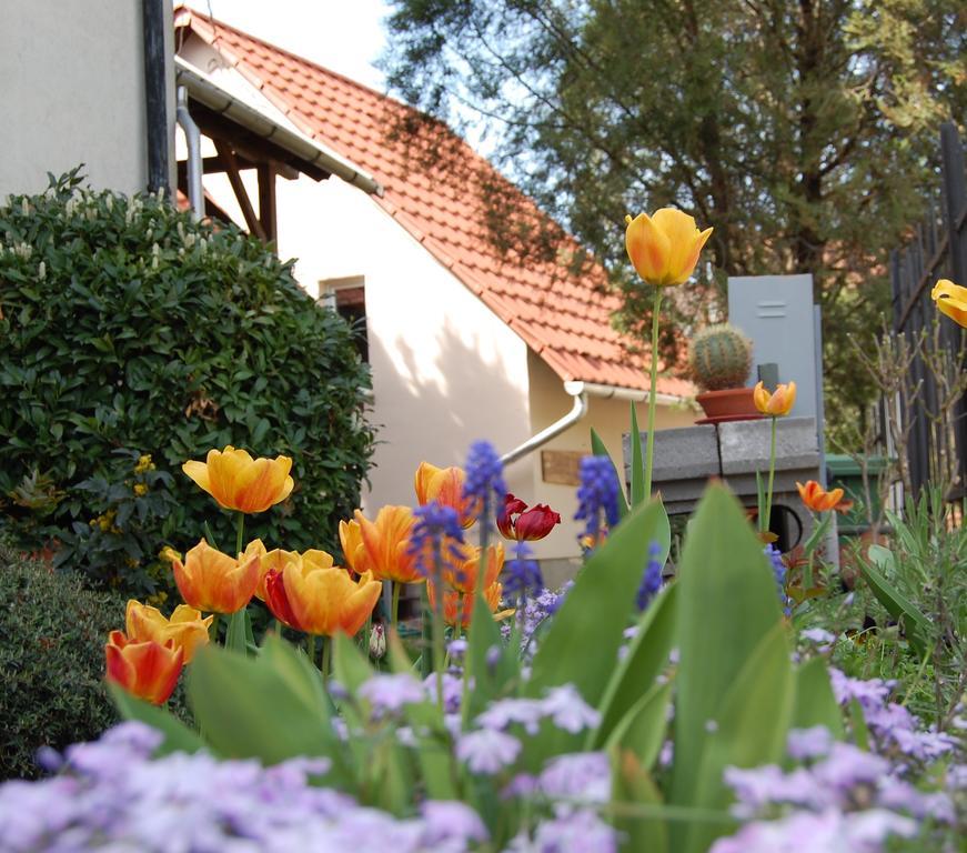 Maya Guesthouse Eger Ngoại thất bức ảnh
